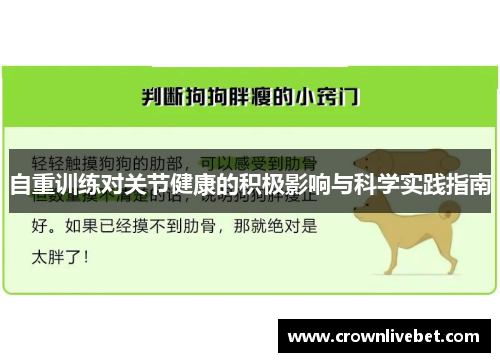 自重训练对关节健康的积极影响与科学实践指南